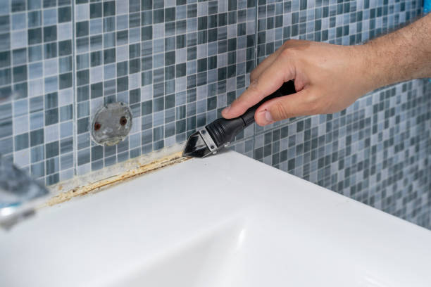 Best Office Mold Removal Services  in Silver Lake, NJ