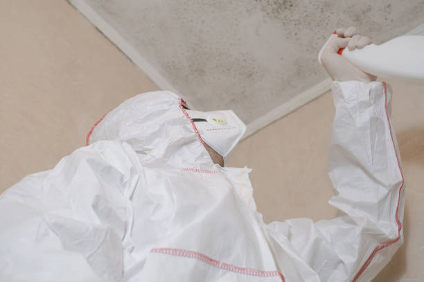 Best Professional Mold Removal  in Silver Lake, NJ