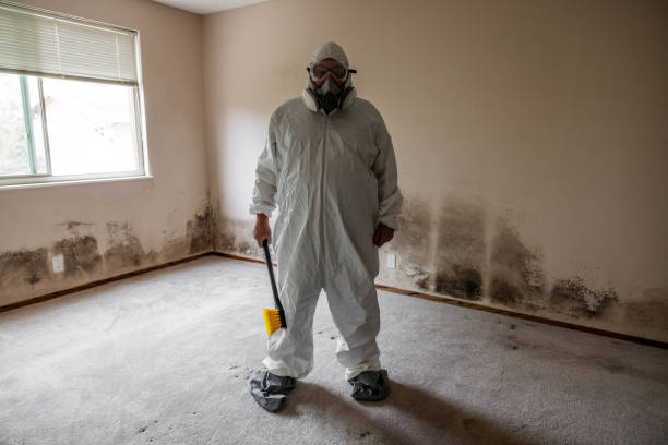 Mold Testing and Removal in Silver Lake, NJ